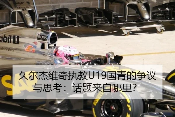 久尔杰维奇执教U19国青的争议与思考：话题来自哪里？